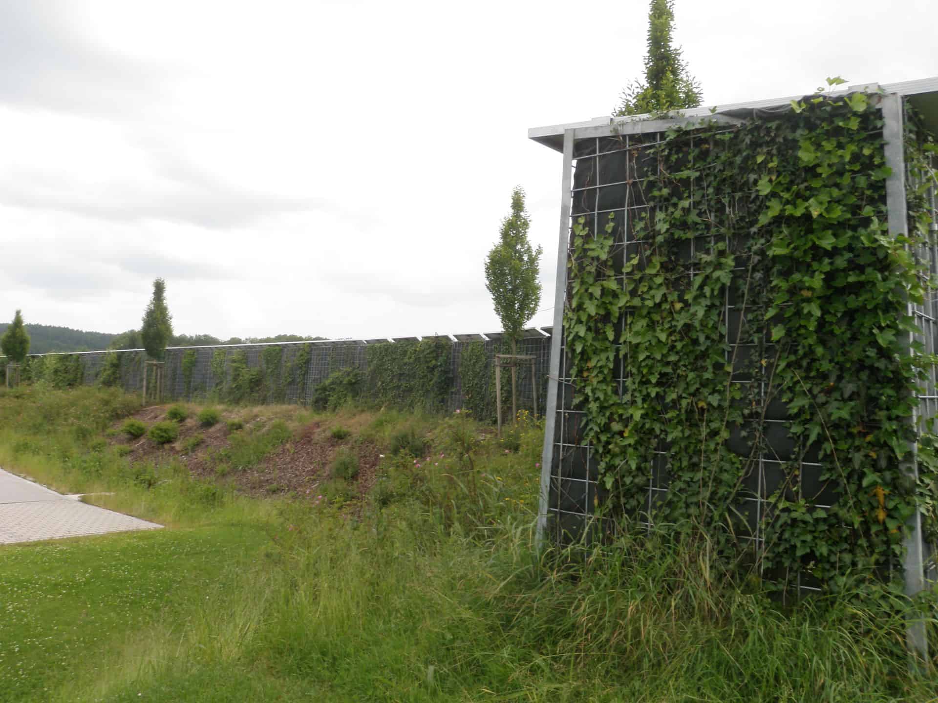 Photovoltaik-Biessenhofen-6-Naturwand