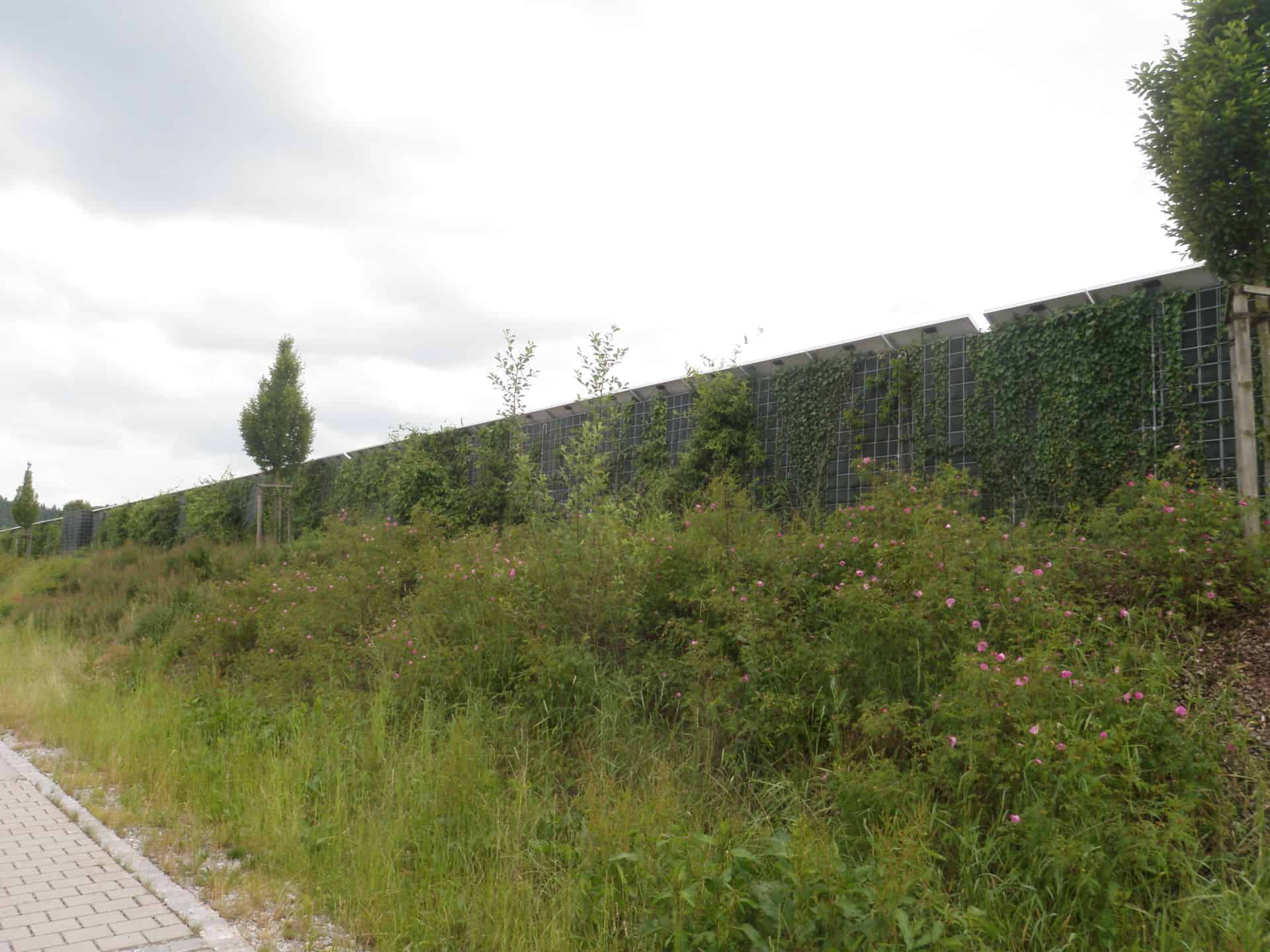 Photovoltaik-Biessenhofen-7-Naturwand