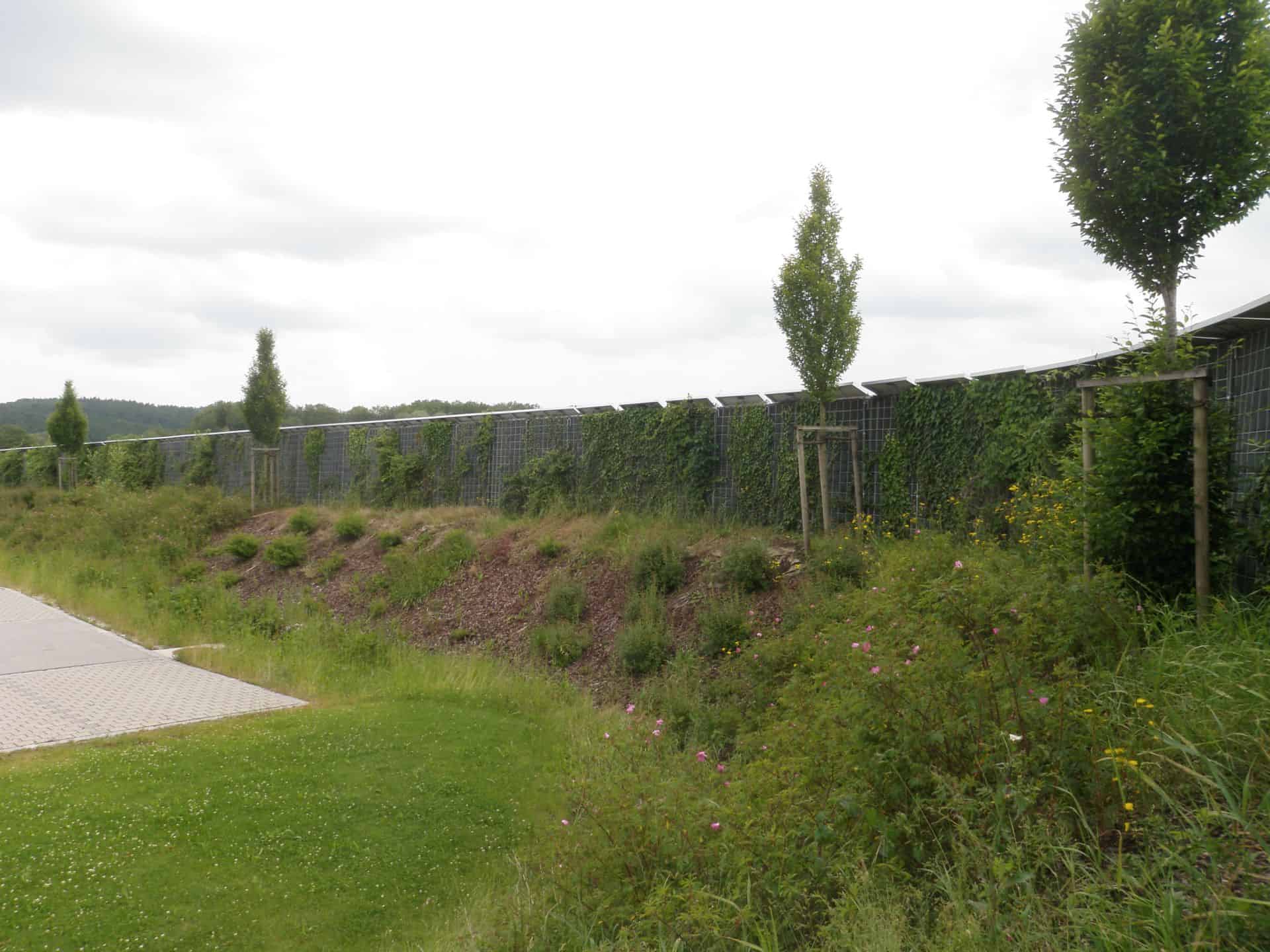 Photovoltaik-Biessenhofen-8-Naturwand