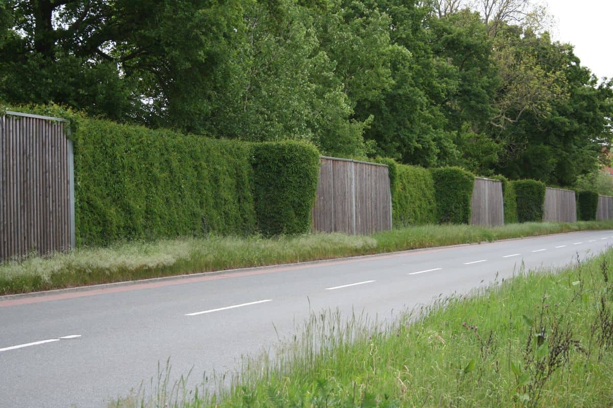 Sonderbauteil-Bremen-2-Naturwand